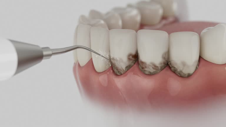 Reliable Dental contractor in Grand Ledge, MI by Dentist Open Now